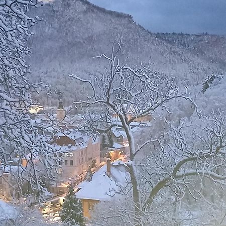 The Bungalow Brasov Bagian luar foto
