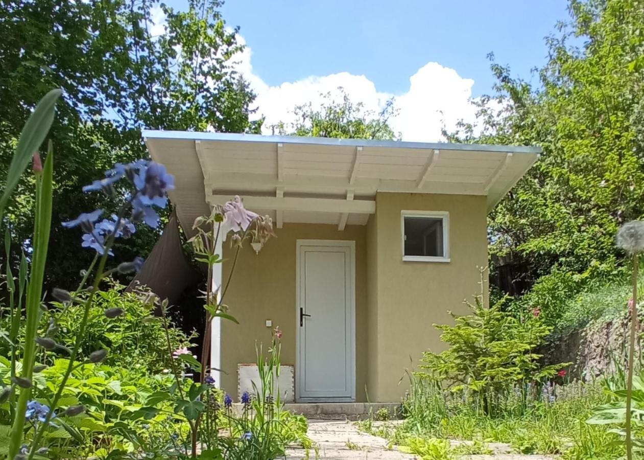 The Bungalow Brasov Bagian luar foto