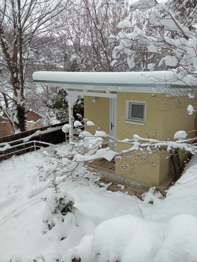 The Bungalow Brasov Bagian luar foto