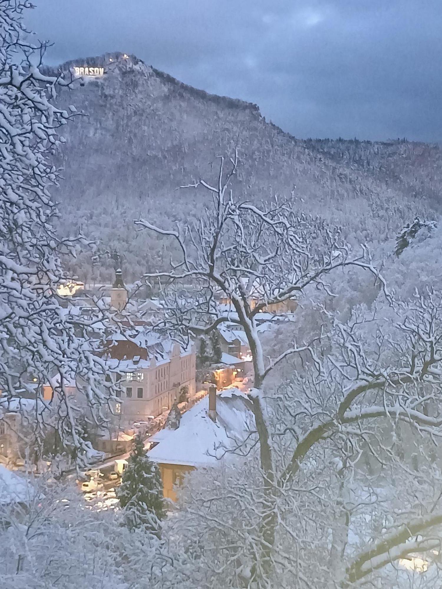 The Bungalow Brasov Bagian luar foto