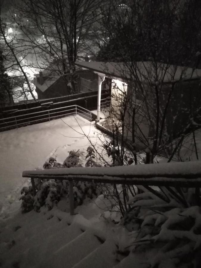 The Bungalow Brasov Bagian luar foto