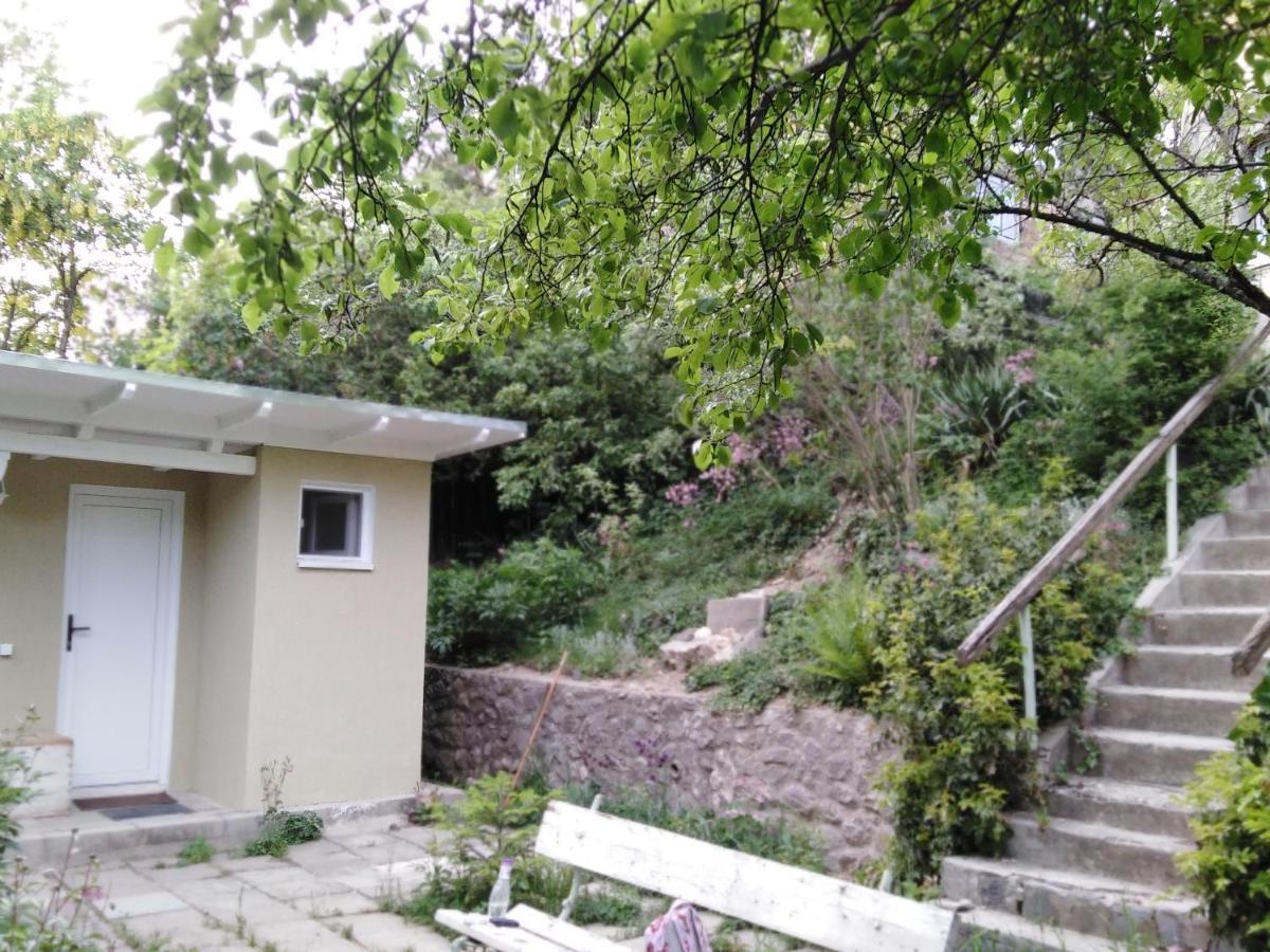The Bungalow Brasov Bagian luar foto